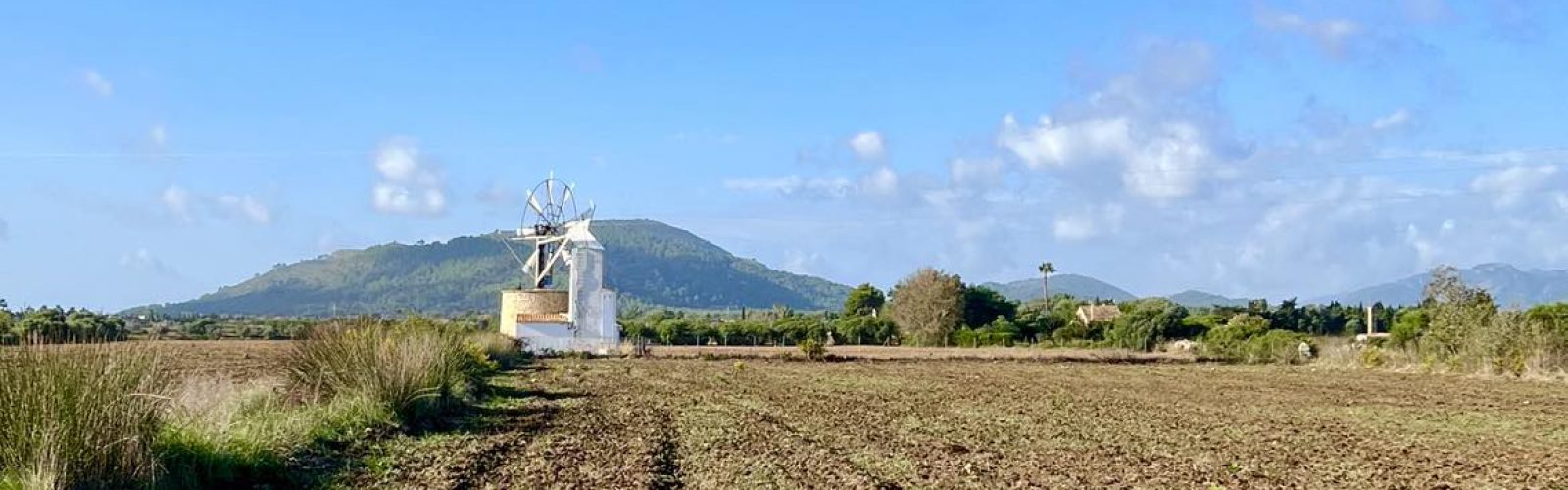 Mallorca_view_windmill