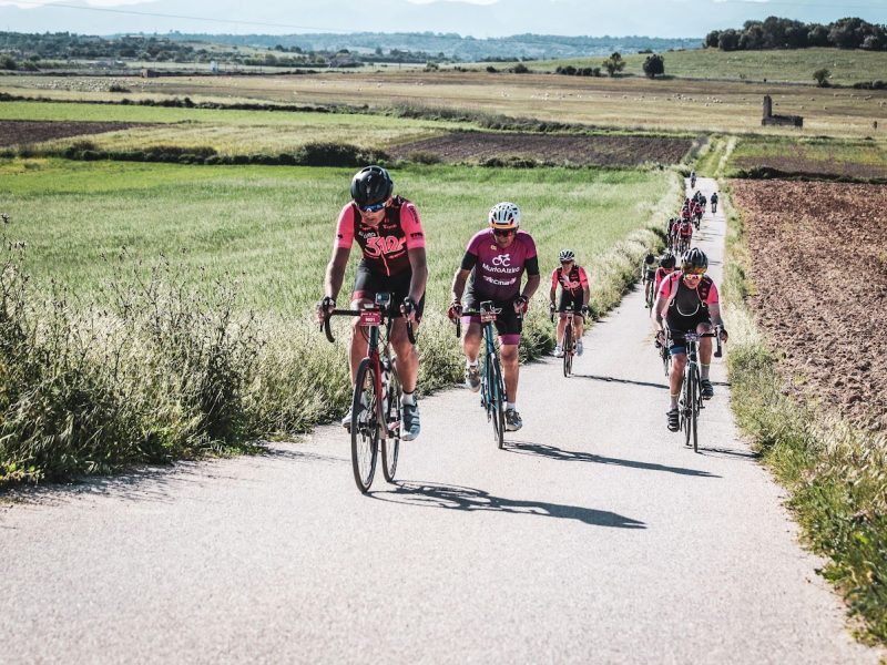 mallorca 312_Jarek_fields